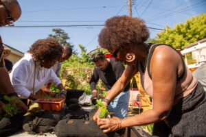 Attendees at a Crop Swap LA event plant seeds.